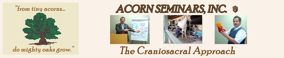 Acorn Seminars, Inc. banner